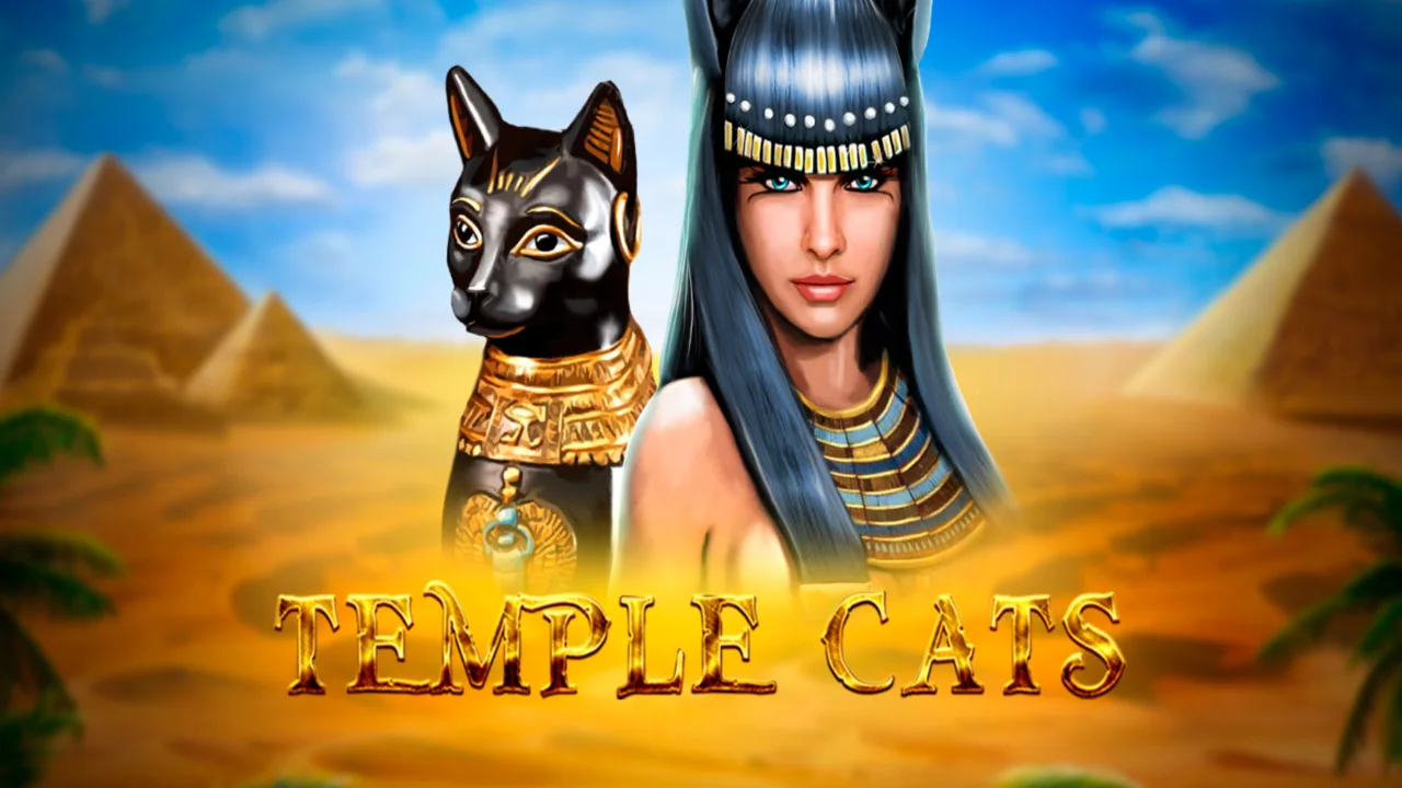 Slot Temple Cats – My 2025 Confession